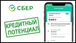 Кредитный потенциал Сбербанка
